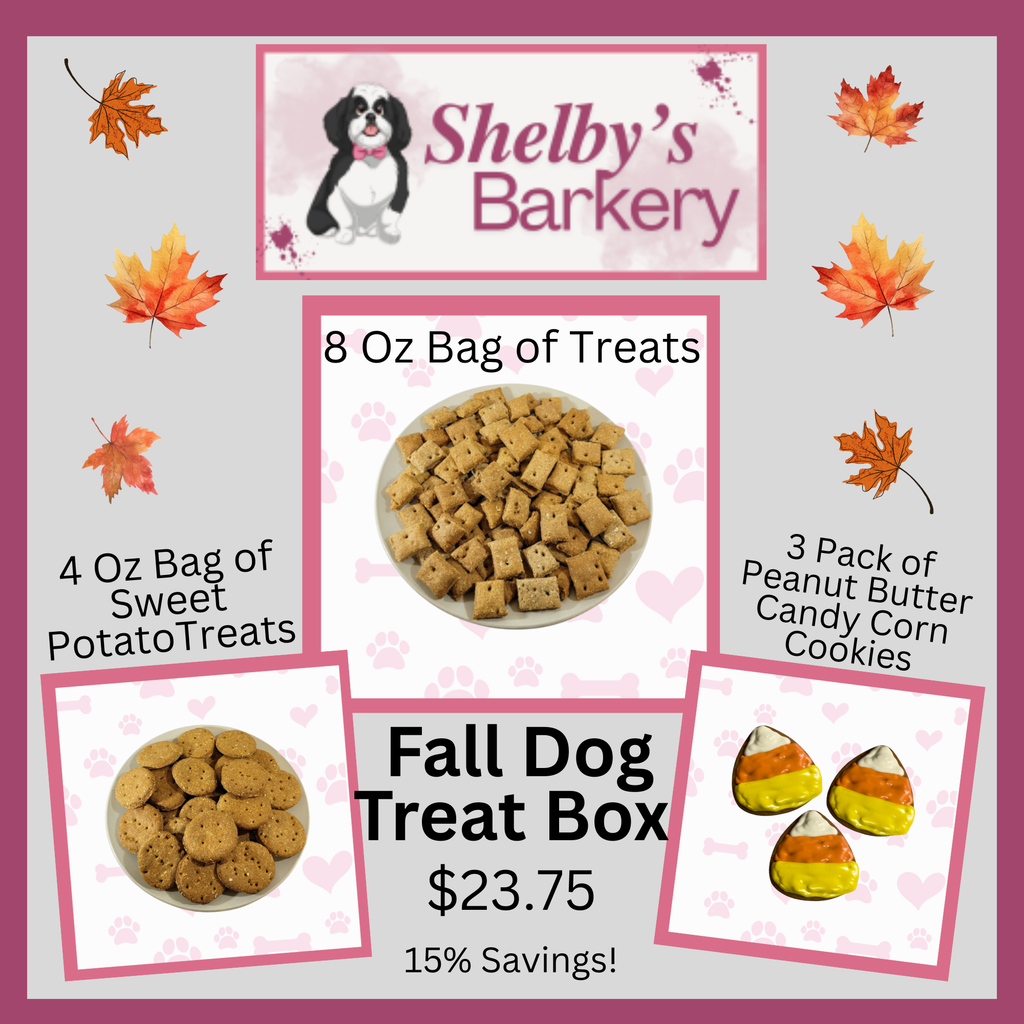 Fall Dog Treat Box - Limited Edition